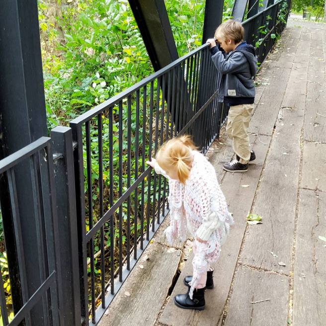 10253880_10153589532280661_3748156124226118582_n