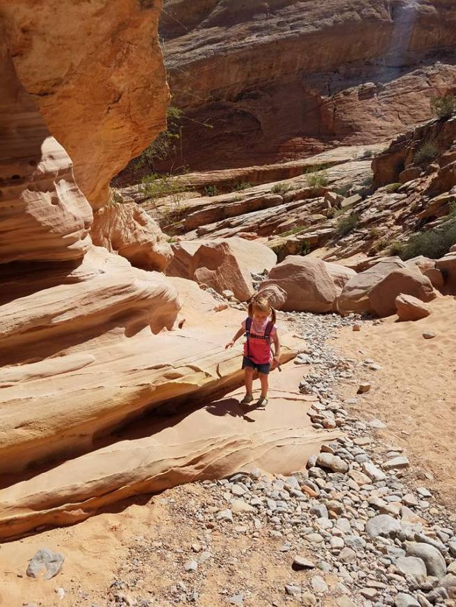 12042722_10153953988030661_6409078958883222165_n