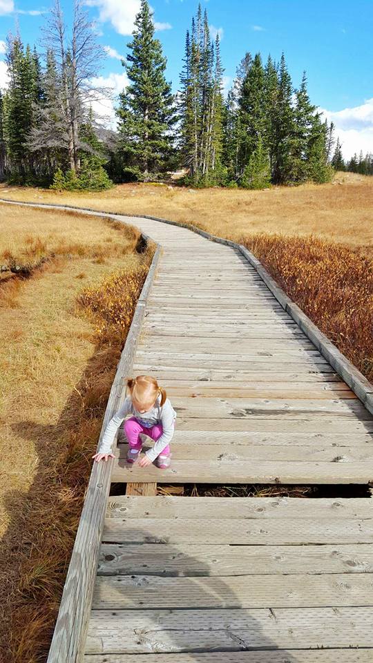 12417577_10153960112320661_4039455785725509794_n