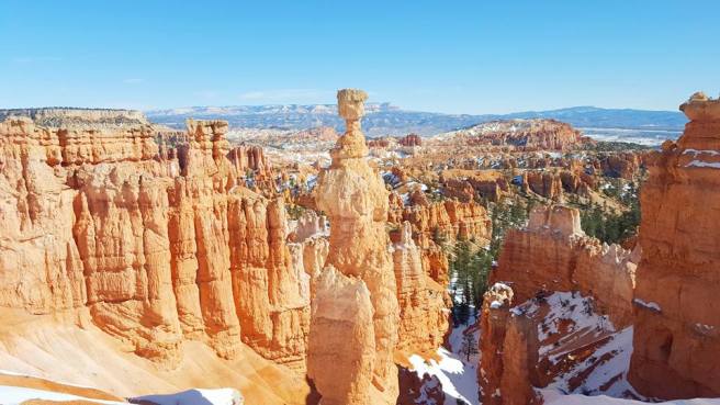 12687947_10153809173460661_6973398857479908750_n