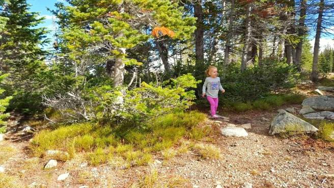 12916853_10153960160555661_8103969091713654066_o