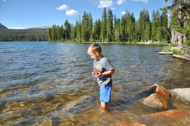 12916871_10153960160520661_6114410089294078010_o