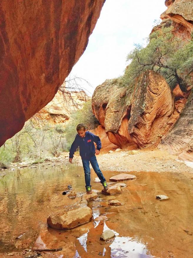 12924352_10153951327640661_7210863996571803524_n