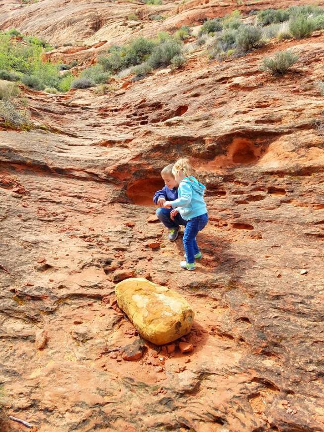 12924352_10153951328815661_8678788712885474154_n