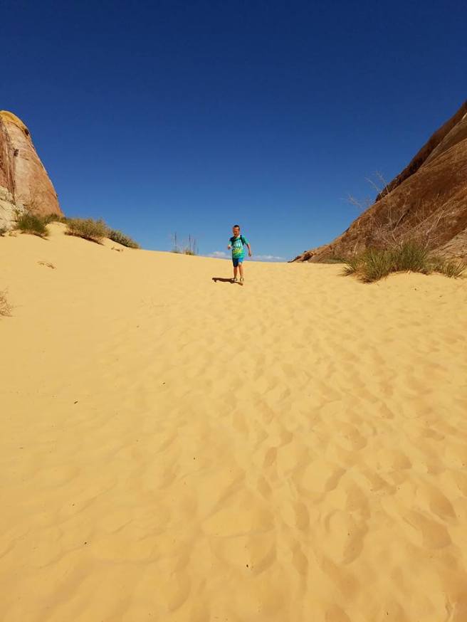 12936634_10153953988320661_5274016418039002141_n