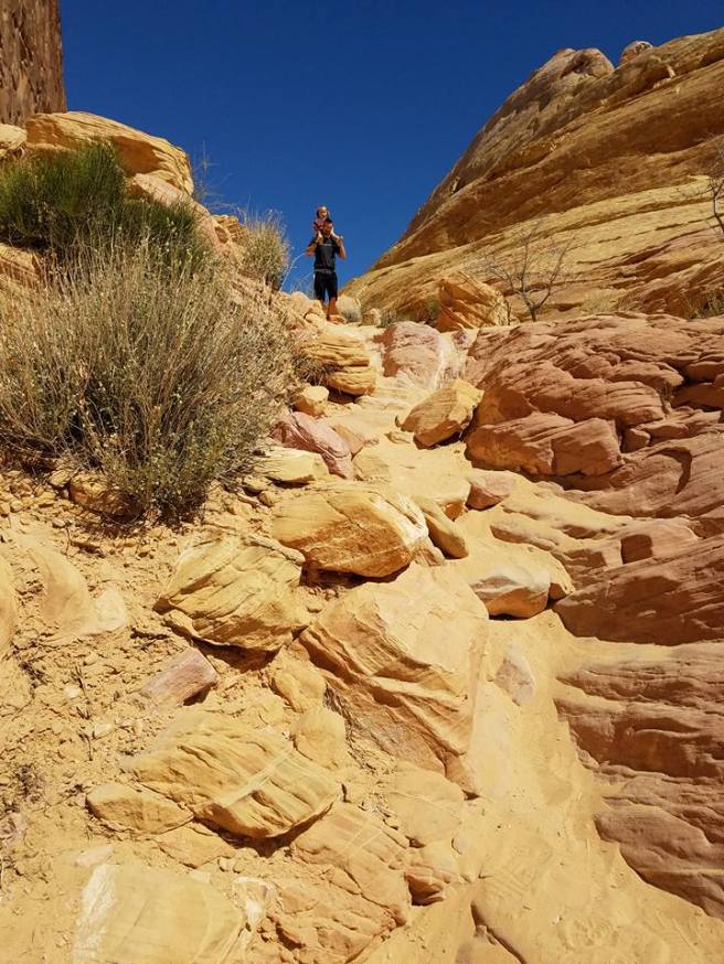 12938201_10153953988265661_1097919756486348536_n