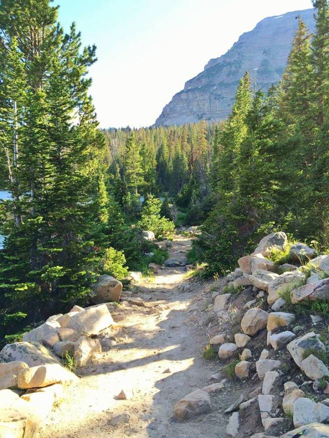 12963442_10153960160230661_248244607115505257_n