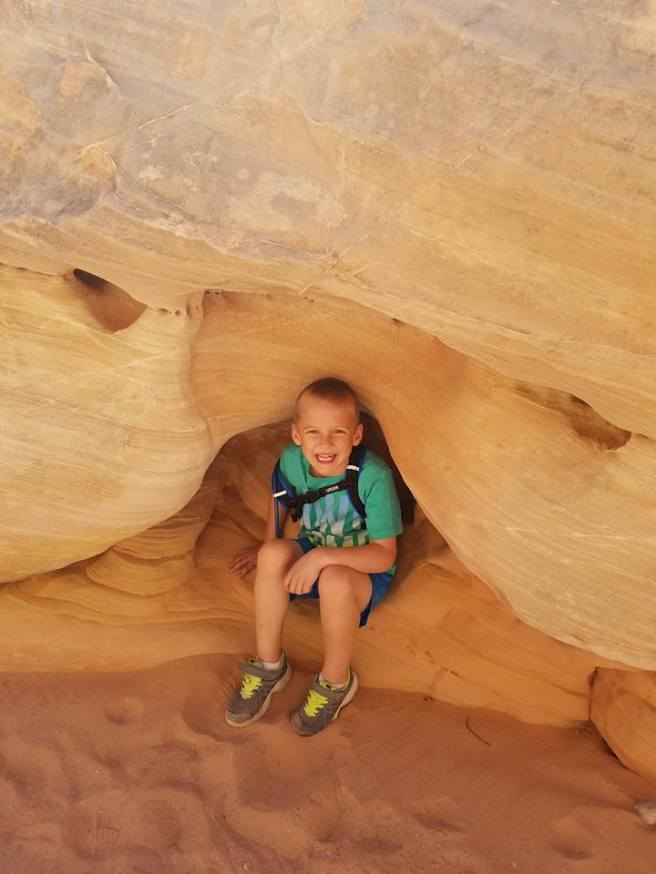 12963511_10153953981260661_6194241610160098834_n