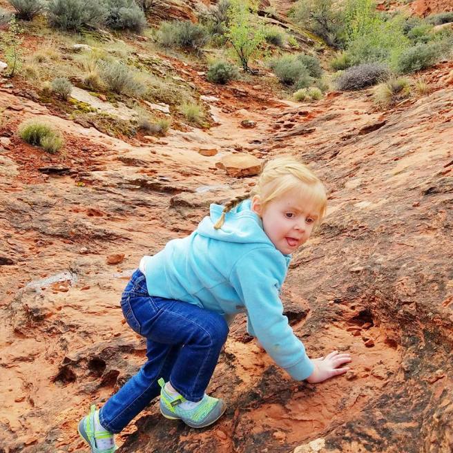 12963910_10153951328735661_6786719033835006618_n