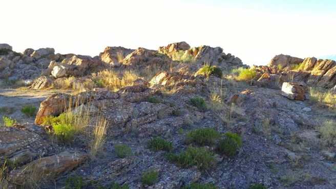 12998173_10153973289610661_1259220029810588674_o