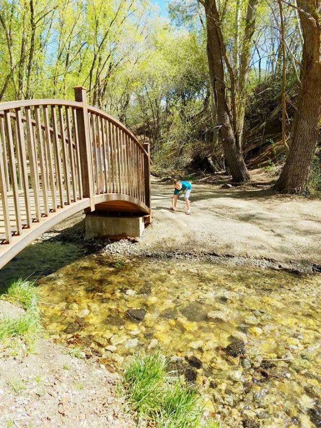 12998637_10153978634795661_318864338276947704_n