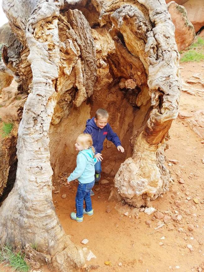 1450711_10153951328585661_81570390105155283_n