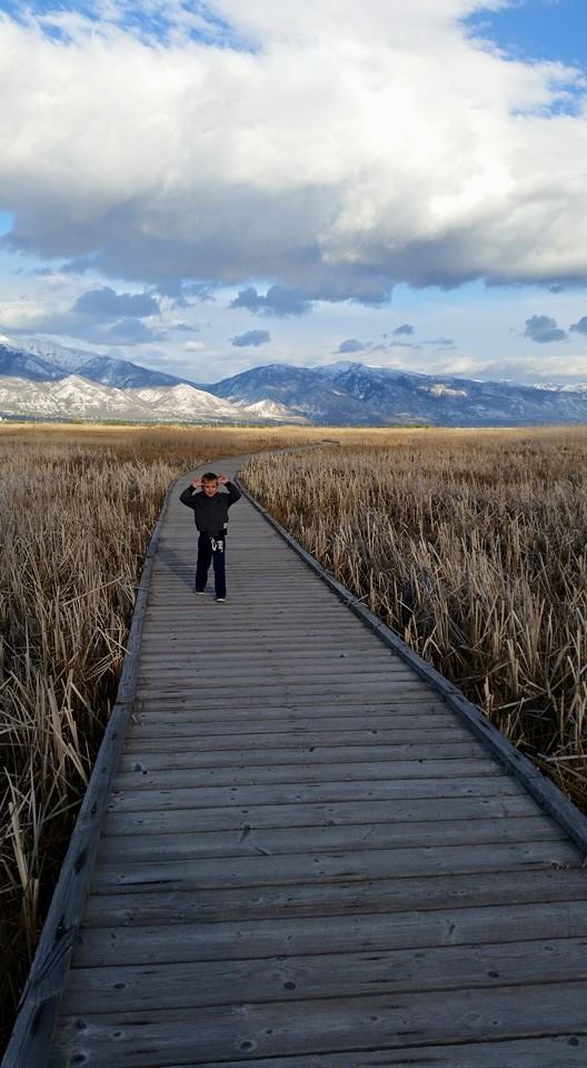 1458645_10153160846595661_6384560492535227817_n