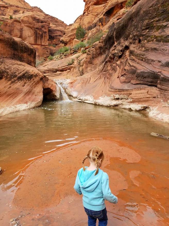 995331_10153951328345661_8216622265179884775_n