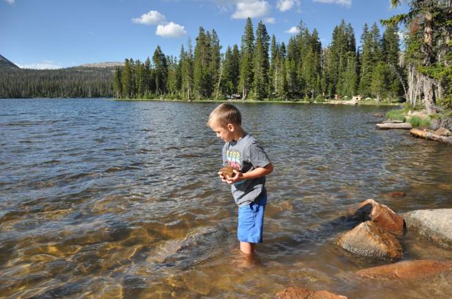 12968124_10153960066265661_5375910935873294671_o