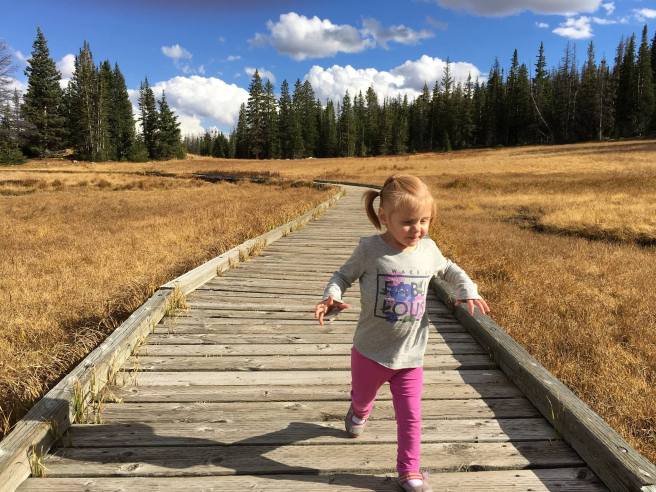 12973121_10153960059440661_5128080148673472043_o