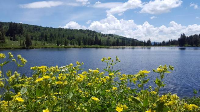 13516566_1697498510264441_6702299034123715627_n