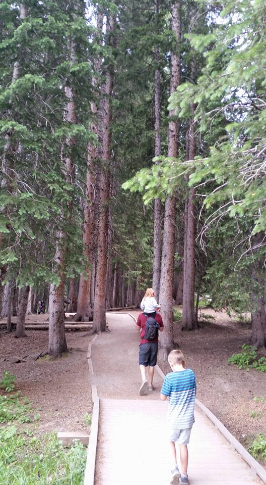 13631397_10154180022045661_4166439468781090087_n