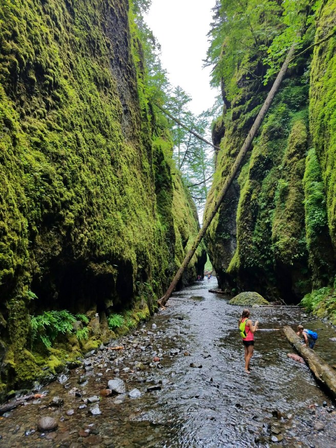 20160722_134153_1469247782895-01