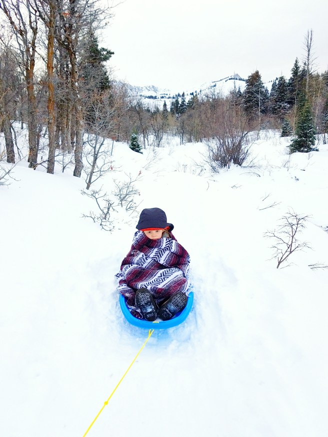 20161219_154616-01-02