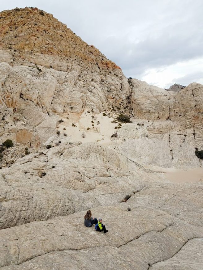 16105480_10154752596765661_8974307712513634258_n