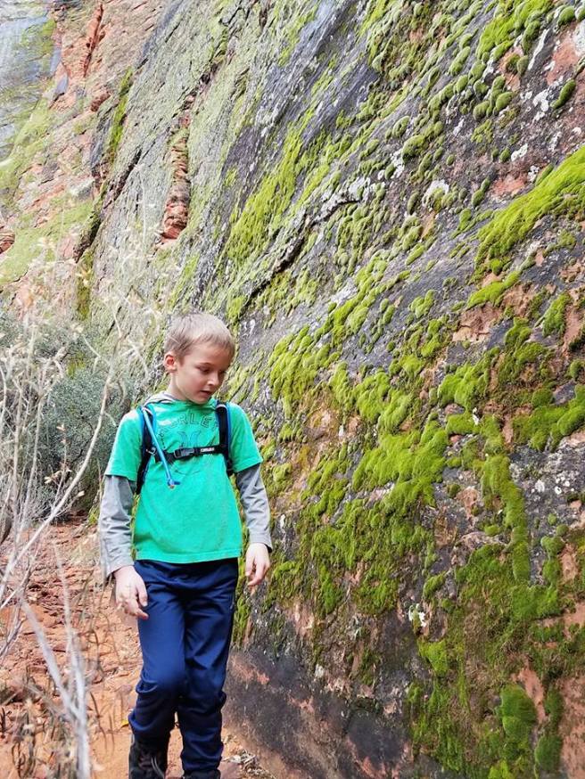 16143110_10154752595850661_925508334053551705_n