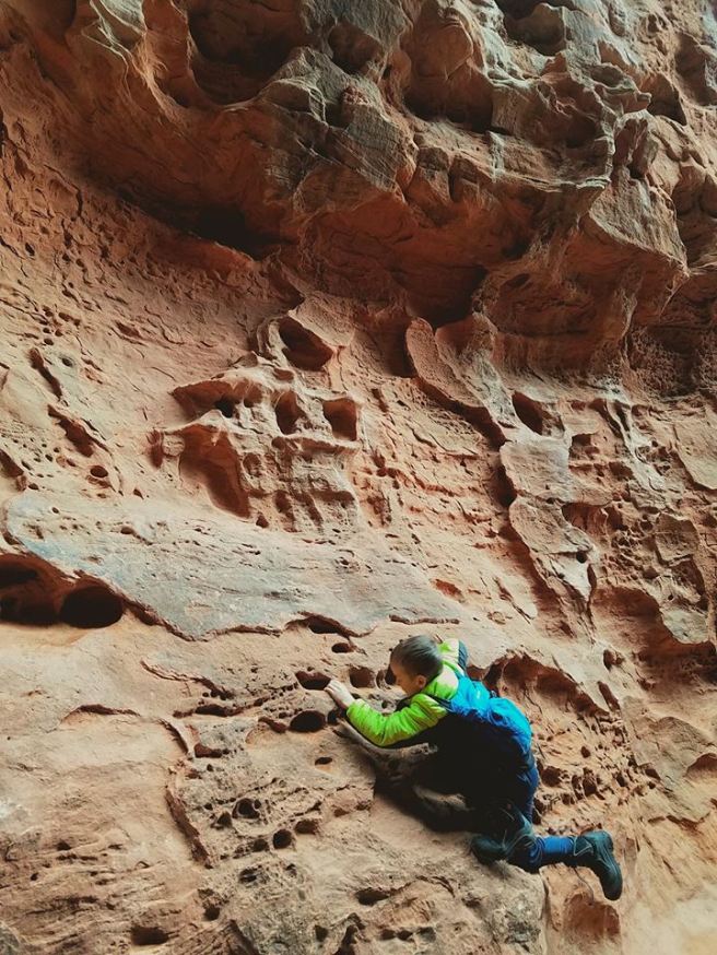 16174730_10154752598360661_7660348721339979043_n