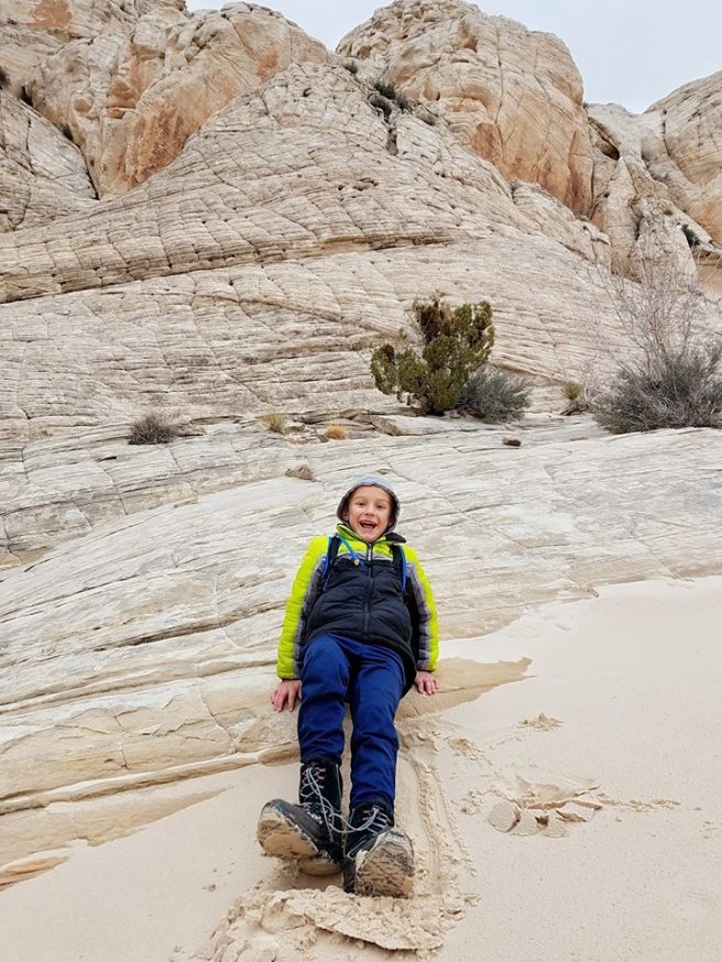 16195087_10154752596180661_6206151720309464552_n